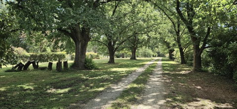 The Avenue Anahdale - Hidden 2.7 Acre Estate In Town - Hotel NSW 3