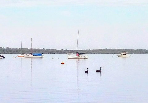 Beautiful, Peaceful Estuary Views, Five Star Quantity - Hotel NSW 3