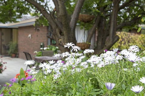 Bed And Breakfast In Perth - Hotel NSW 1