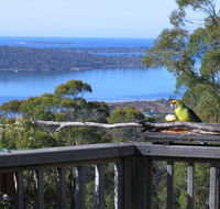 Bed in the Treetops BB - Hotel NSW