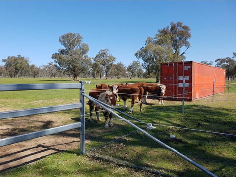 Big Tiny Jindera Park - Hotel NSW 2