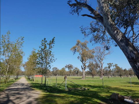 Big Tiny Jindera Park - Hotel NSW 3