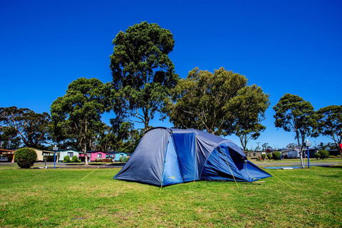 BIG4 Traralgon Park Lane Holiday Park - Hotel NSW 2
