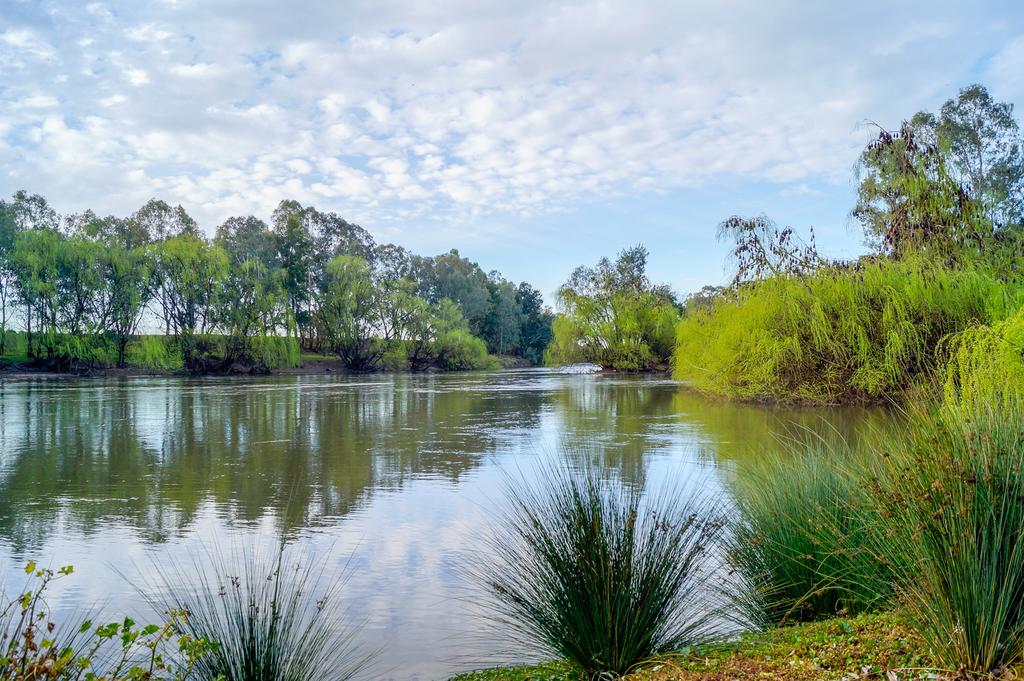 San Isidore NSW Hotel NSW