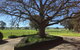 Birchwood Cottage - thumb 1