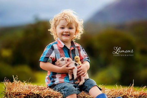 Blackwattle Farm - Hotel NSW 0