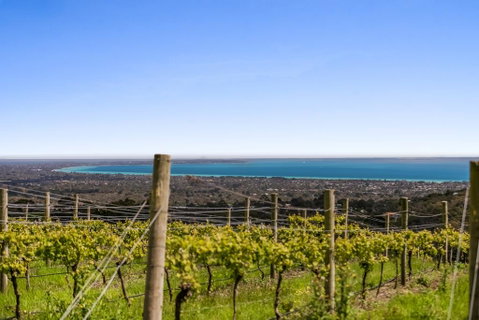 Blue Range Estate Villas - Hotel NSW 3