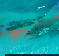 Private Tangalooma Wrecks Tour - Hotel NSW