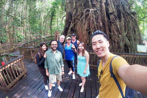 Cairns 4WD Waterfall And Rainforest Tour Including Kuranda Scenic Railway - Hotel NSW 0