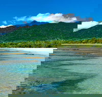 8-Day Cairns Tour Great Barrier Reef Kuranda Daintree Rainforest - Hotel NSW