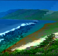 Cairns Reef and Rainforest Combo Daintree Rainforest and the Great Barrier Reef - Hotel NSW