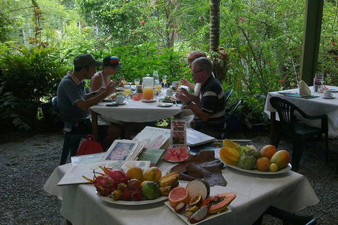 Cairns Reef And Rainforest Combo: Daintree Rainforest And The Great Barrier Reef - Hotel NSW 3