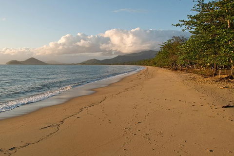Cairns Reef And Rainforest Combo: Daintree Rainforest And The Great Barrier Reef - Hotel NSW 4