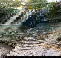 Paronella Park and Millaa Millaa Falls Full-day Tour from Cairns - Hotel NSW