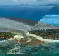 4-Day Cairns with Great Barrier Reef and Daintree Rainforest - Hotel NSW