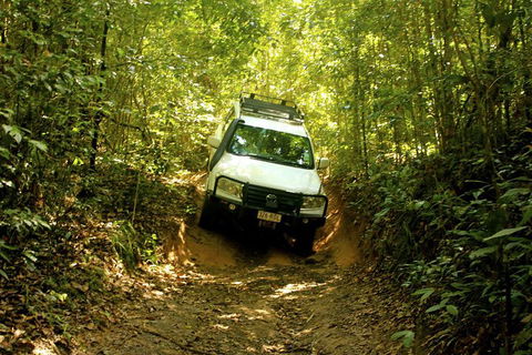 Cairns National Park Rainforest And Waterfall Small Group Tour Shore Excursion - Hotel NSW 0
