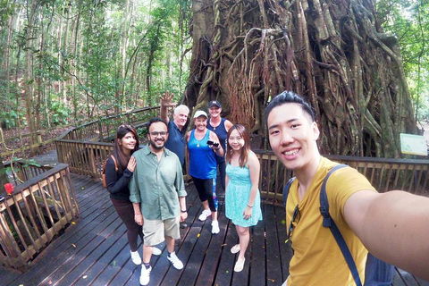 Cairns National Park Rainforest And Waterfall Small Group Tour Shore Excursion - Hotel NSW 2