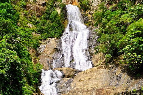 Cairns National Park Rainforest And Waterfall Small Group Tour Shore Excursion - Hotel NSW 4