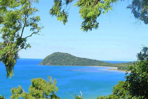 Full Day Tour In The Daintree - Hotel NSW 1