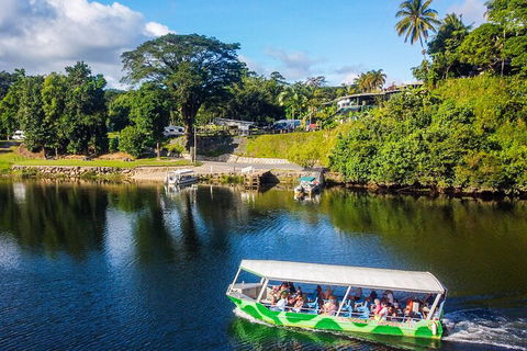 Full Day Tour In The Daintree - Hotel NSW 2