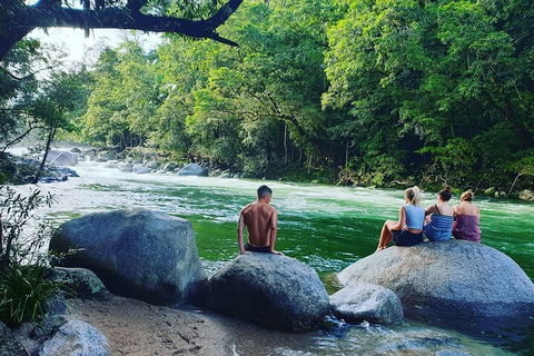 Full Day Tour In The Daintree - Hotel NSW 3
