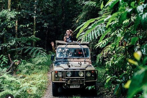 Full Day Tour In The Daintree - Hotel NSW 4