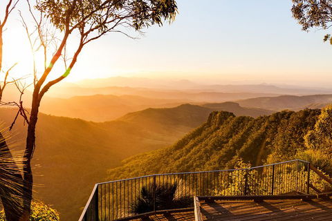 O'Reilly's & Lamington National Park Incl. Alpaca Farm + Vineyard - Hotel NSW 0
