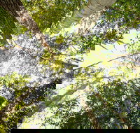 Fraser Island 4WD Tour from Noosa - Hotel NSW