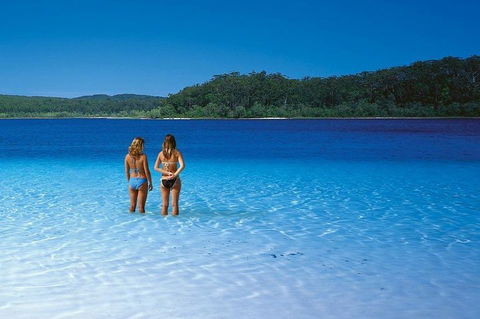 Fraser Island 4WD Tour From Noosa - Hotel NSW 2