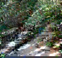 Fraser Island 4WD Tour from Rainbow Beach - Hotel NSW