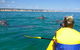 Kayak With Dolphins And 4WD Great Beach Drive Day Trip From Noosa - thumb 1