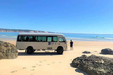 Kayak With Dolphins And 4WD Great Beach Drive Day Trip From Noosa - Hotel NSW 4