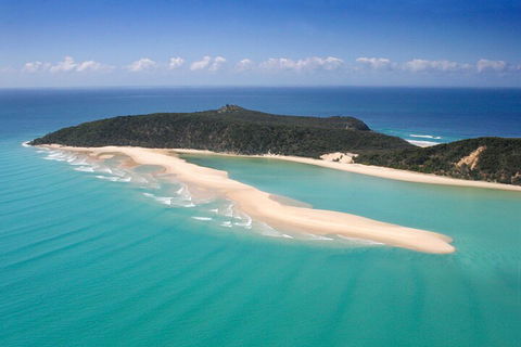 Kayak With Dolphins And 4WD Great Beach Drive Day Trip From Noosa - Hotel NSW 5
