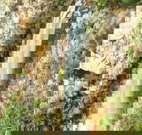 Private Tour - Rainforest  Waterfalls Extravaganza - Hotel NSW