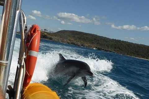 Noosa Oceanrider - Adventure Tour - Hotel NSW 1