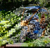 Adelaide 90-Minute Pedicab Tour Scenic Green  River Experience - Hotel NSW