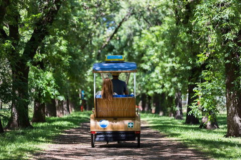 Adelaide 90-Minute Pedicab Tour: Scenic Green & River Experience - Hotel NSW 2