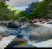 Cape Tribulation Day Tour - Hotel NSW