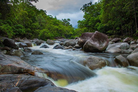 Cape Tribulation Day Tour - Hotel NSW 0