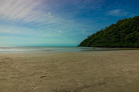 Cape Tribulation Day Tour - Hotel NSW 2
