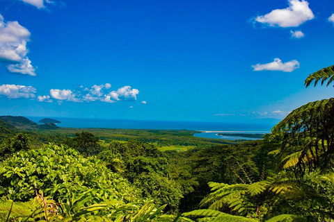 Cape Tribulation Day Tour - Hotel NSW 3