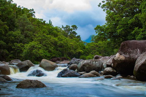 Cape Tribulation Day Tour - Hotel NSW 4