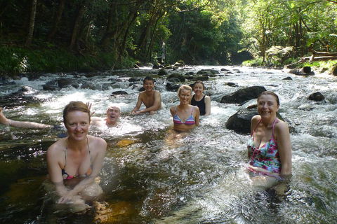Daintree Rainforest, Cape Tribulation, Mossman Gorge Small-Group Day Tour - Hotel NSW 0