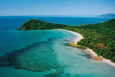 Daintree Rainforest, Cape Tribulation, Mossman Gorge Small-Group Day Tour - Hotel NSW 4