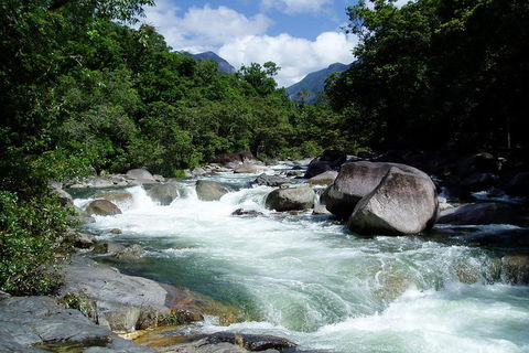 Daintree Rainforest, Cape Tribulation, Mossman Gorge Small-Group Day Tour - Hotel NSW 5