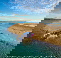 Town of 1770 Afternoon Cruise - Hotel NSW