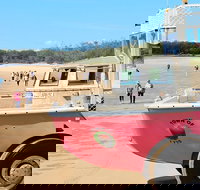 1770 Coastline Tour by LARC Amphibious Vehicle Including Picnic Lunch - Hotel NSW