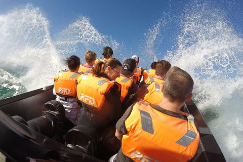 Noosa Thriller - 500hp Ocean Adventure Ride - Hotel NSW 4