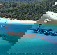 All Inclusive Tangalooma Wrecks Cruise Tour From Gold Coast - Hotel NSW