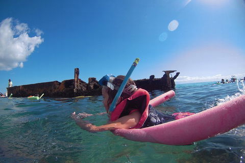 All Inclusive Tangalooma Wrecks Cruise Tour From Gold Coast - Hotel NSW 3